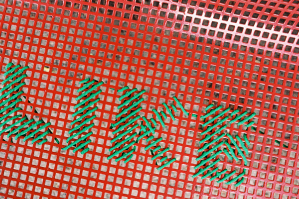 Belisdiam | web invitation design