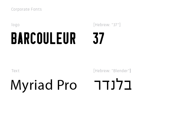 Curtain Up Dance Festival | corporate fonts | print design