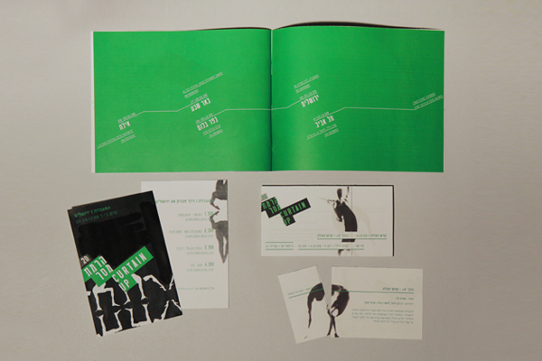 Curtain Up Dance Festival | print material design